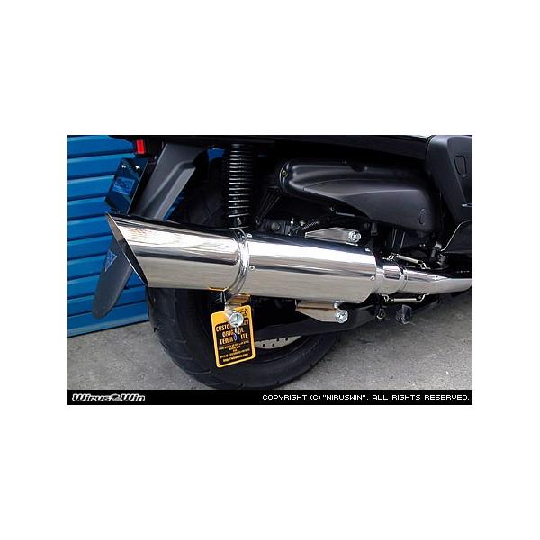 WirusWin Oh}WFXeB250p rbOLm }t[ /ECYEB