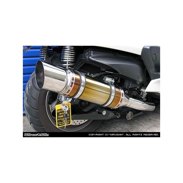 WirusWin Oh}WFXeB250p GNV[h`^}t[ /ECYEB