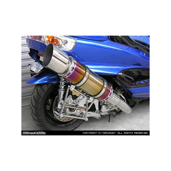 WirusWin }WFXeB250( 5GME5SJ )p r[Xg}t[ ^CvE/ECYEB