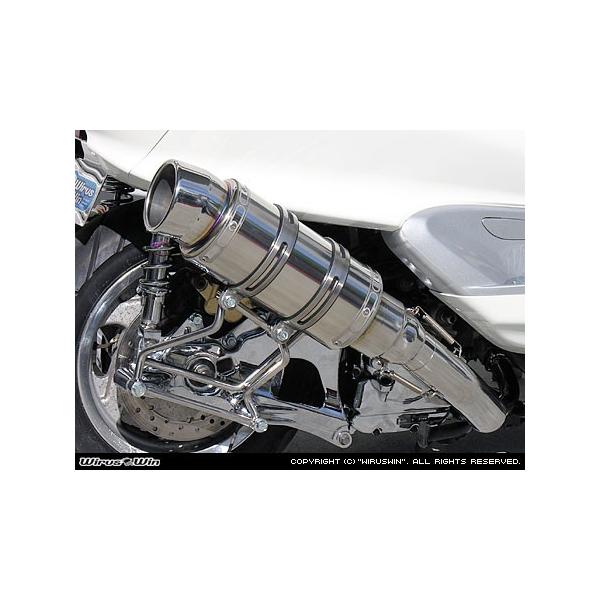 WirusWin }WFXeB250( 5GME5SJ )p r[XgV[g}t[ ^CvS/ECYEB