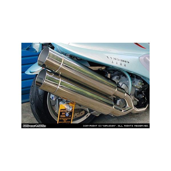 WirusWin }WFXeB250( 5GME5SJ )p X^CbVcC}t[ oY[J^Cv/ECYEB