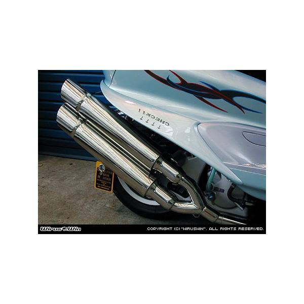 WirusWin }WFXeB250( 5GME5SJ )p X^CbVcC}t[ |bp[^Cv/ECYEB