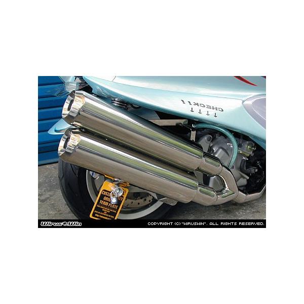 WirusWin }WFXeB250( 5GME5SJ )p X^CbVcC}t[ WFbg^Cv/ECYEB