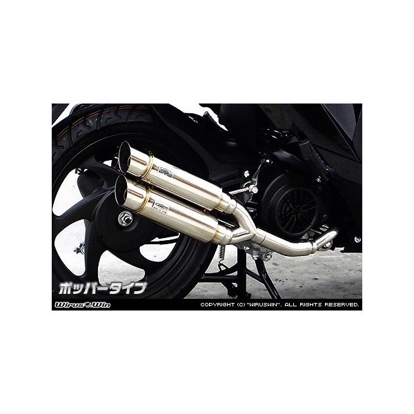 WirusWin fBI110(JF58) Ag~bNcC }t[ |bp[^Cv /Dio ECYEB