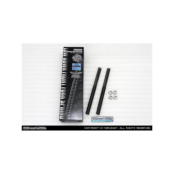 WirusWin fBI110(JF58) [_EtgtH[N XvO /Dio ECYEB