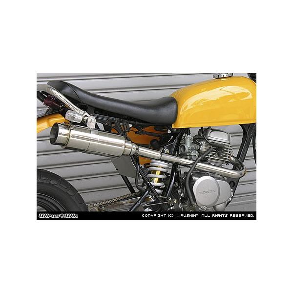 WirusWin GCv50 C}t[ oY[J^Cv/ECYEB