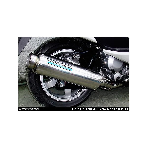 WirusWin XJCEFCu250(CJ43) rbOoY[J[}t[ /ECYEB