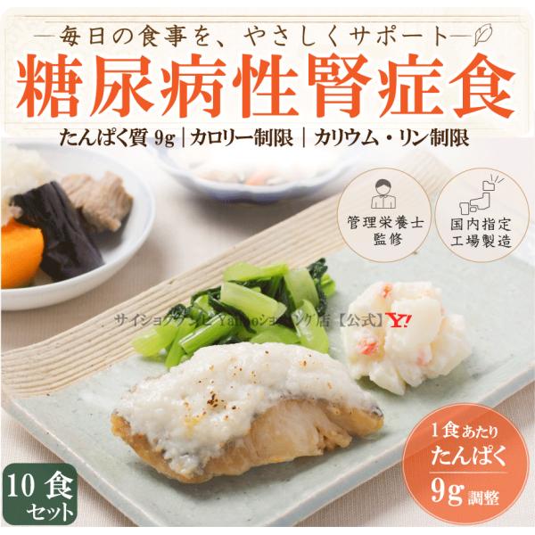糖尿病性腎症食 10食セット *国内製造 管理栄養士監修 低たんぱく 糖尿病 低リン 減塩 通販 冷凍 腎臓病 たんぱく制限食 弁当 腎症