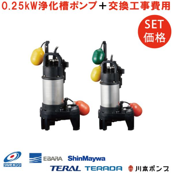 浄化槽 排水ポンプ 100V 200V 交換取付工事付き 自動 自動交互型 放流