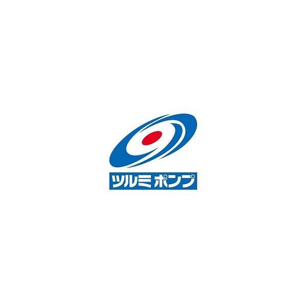 ツルミポンプ 高圧洗浄機HPJ型用 吐水ホース 3/8×10m TRYセット 高圧