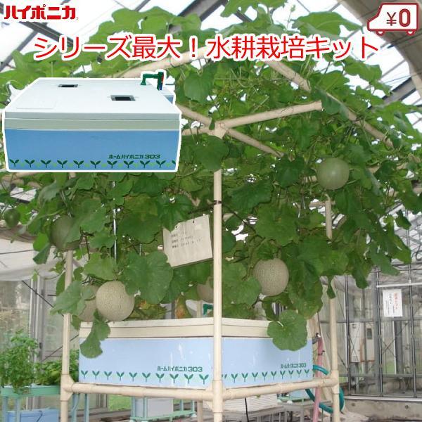 水耕栽培キット 家庭用 家庭菜園 野菜作り 屋内 水耕栽培 セット プロ
