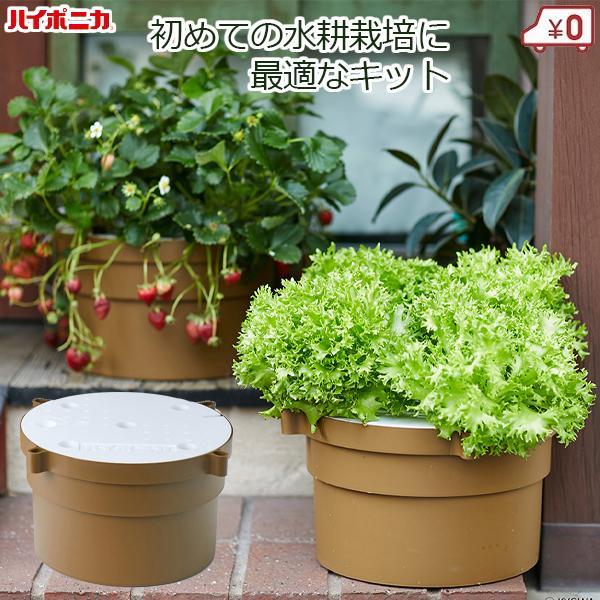 水耕栽培キット 野菜 水耕栽培 セット 家庭用 家庭菜園 ガーデニング 