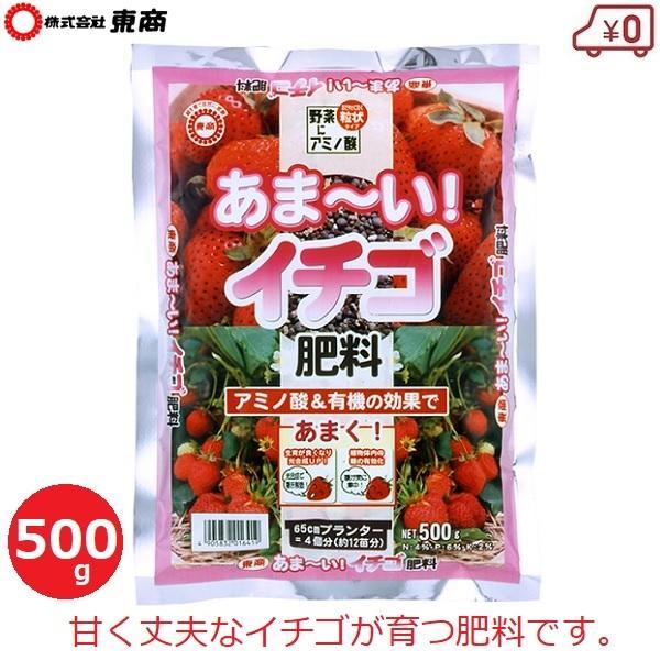 肥料 いちご用 イチゴ専用 あま〜い! イチゴ肥料 500g 有機質 家庭菜園 