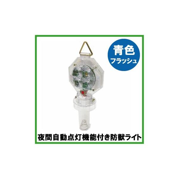 hbCg FtbV_ ZT[t LEDCg H b  CmVV΍ 쏜 Qb Qb΍