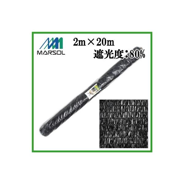 Ռlbg }\ _Ɨp | lbg 悯 2mX20m  Ռ80%