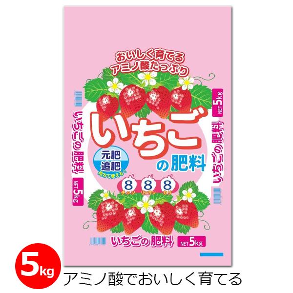 いちごの肥料 8-8-8 5kg 肥料 イチゴ 専用肥料 粒状 アミノ酸