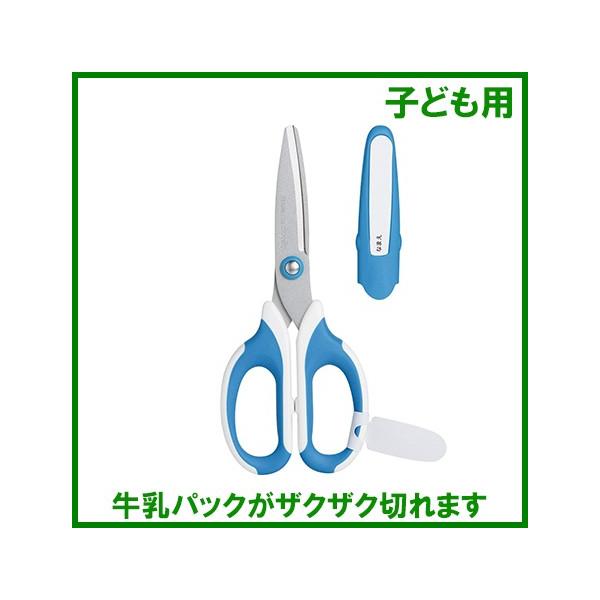 \jbN w ǂ qǂp ͂  SK-312-B H qǂ  wZpnT~ j̎q 킢