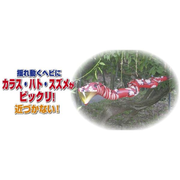鳥よけグッズ 守り神 大蛇 龍宝丸 撃退 防鳥具 ベランダ 鳩よけ カラス 鳥よけ対策 忌避 農業資材 磁石 防獣 Buyee Buyee Jasa Perwakilan Pembelian Barang Online Di Jepang