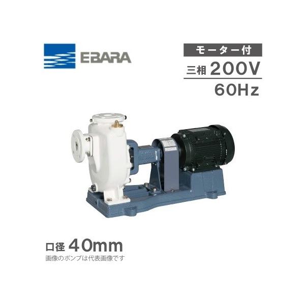 �G�o���|���v �����|���v ���z�|���v 40FQN62.2E 60HZ/200V ���[�^�[�t FQN�^ �z�|���v