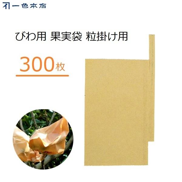 F{X т| 300  | тp ʎ ΍ Q΍ 悯 f #16 K-4