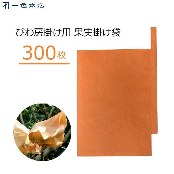 F{X т| 300 [| | тp ʎ [ Ζ Q΍ 悯 f #7 K-1