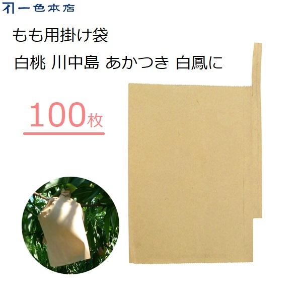 F{X | 100 ʎ | p  ΍ Q΍ 悯 ʎ| #7 K-5