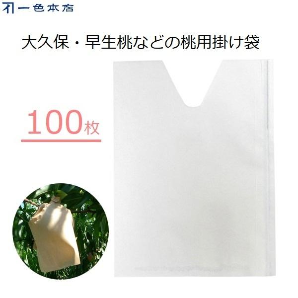 F{X | 100 ʎ | p VJbg  Q΍ 悯 ʎ| #7 K-7