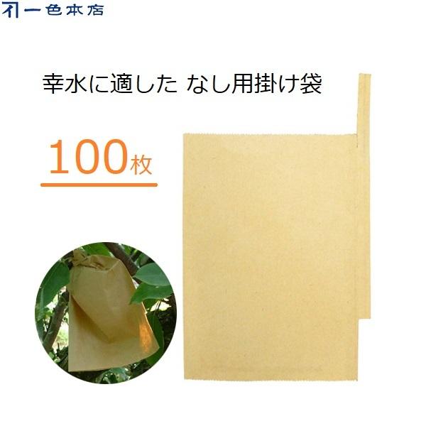 F{X Ȃ| 100 ʎ | p K KȂ J΍ Q΍ 悯 #7 K-9