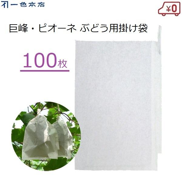 F{X Ԃǂ| 100 ʎ | uhEp d J΍ Q΍ 悯 L܍͔| #3 K-16