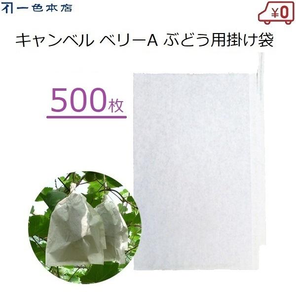 F{X Ԃǂ| 500 ʎ | uhEp Lx x[A d J悯 Q΍ 悯 L܍͔| #4 K-15