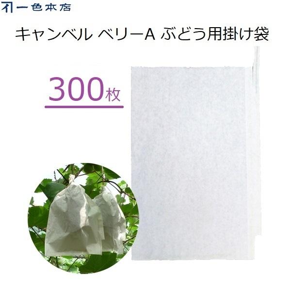 F{X Ԃǂ| 300 ʎ | uhEp Lx x[A d J悯 Q΍ 悯 L܍͔| #4 K-15