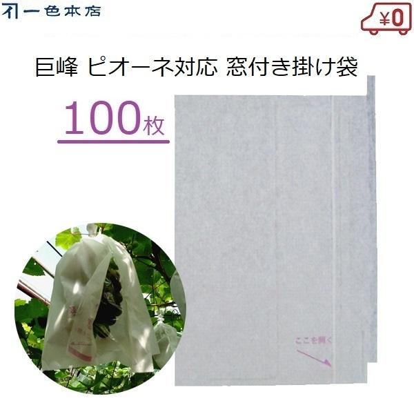F{X Ԃǂ| t 100 ʎ | uhEp  sI[l J悯 Q΍ 悯 L܍͔| T-19 K-17