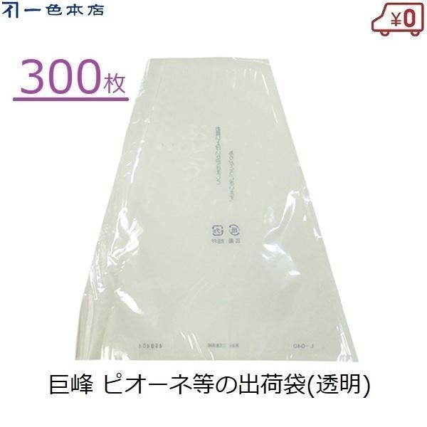 F{X ԂǂOp() 300 Ԃǂ oב  uhEp [ Zn   K-30