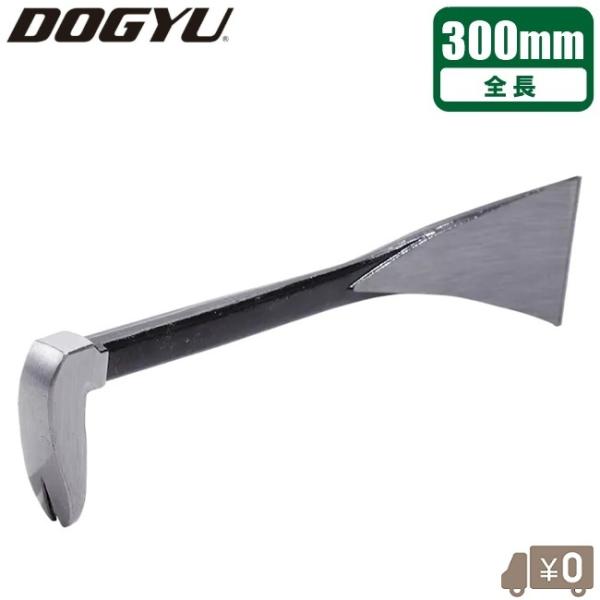 ssnet_fujiwara-4962819-010280