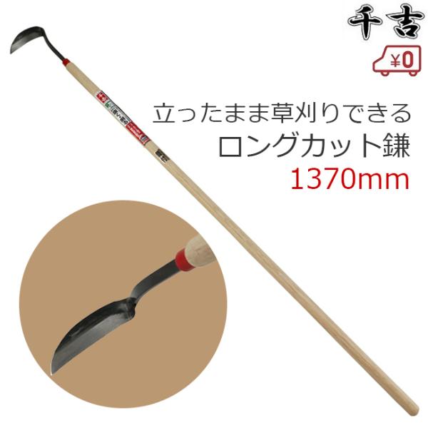 ssnet_fujiwara-4977292-666336
