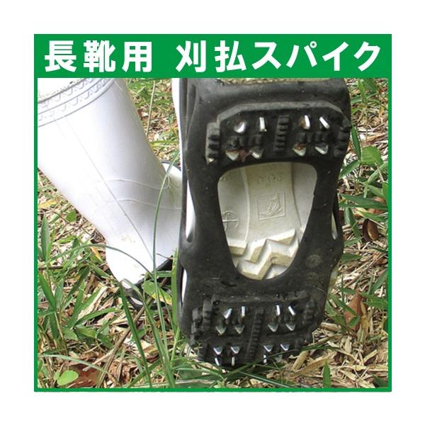 ZteB3 Cp XpCN _Ɨp ~ @ GW @  C ~