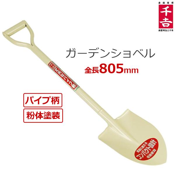 ssnet_fujiwara-681520