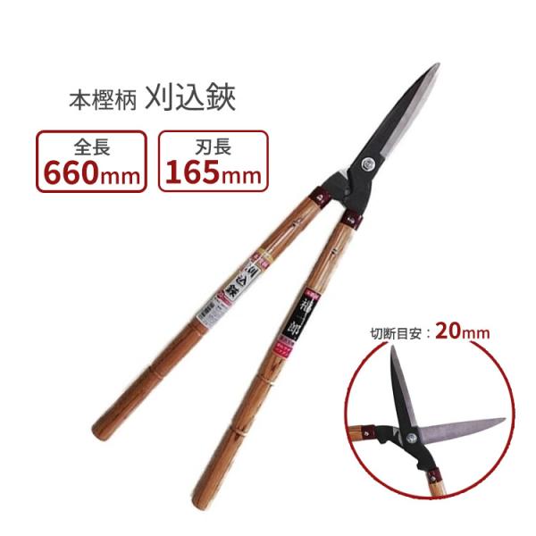 ssnet_fukui-4941019-180276