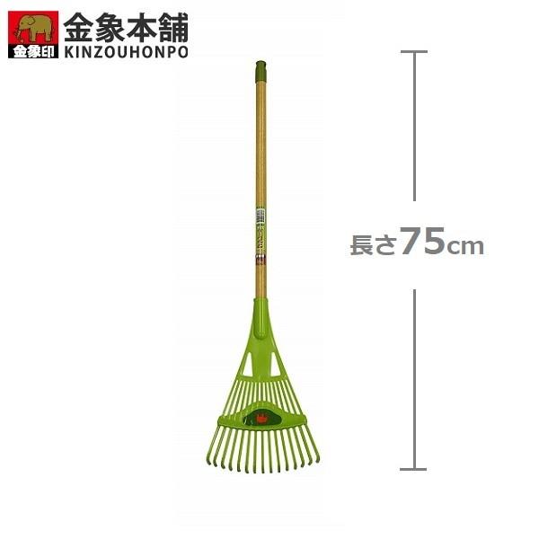 F ܂ [L vX`bN 75cm tW | | pi 