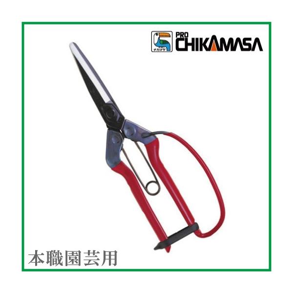 `J}T nnT~  T-700G K[ht  ̉ ʎ E Eʍ  ߐ n ʎ  ͂ ΂