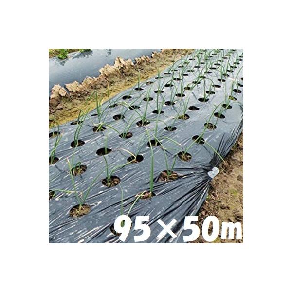 _ }` }` 95cm×50m 5 }`V[g J}` _ƗpV[g N}`