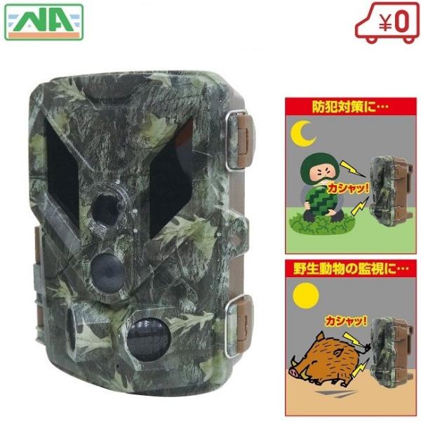 lNXg hƃJ Op ĎJ  hƂBK-1 CX