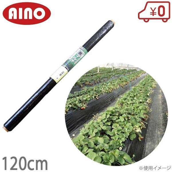 AINO 黒マルチ 120cm×500m 厚0.02mm センターライン入 黒マルチシート