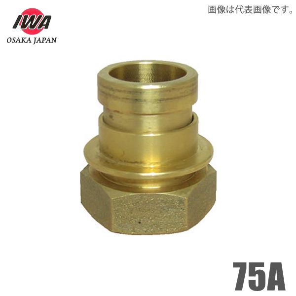 萻쏊 쎮 JbvO p IX×KXlWX 75A j }