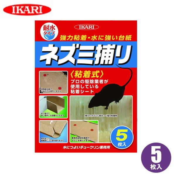 ネズミ捕り 粘着シート 5枚入 ネズミ駆除 ネズミ捕りシート 耐水