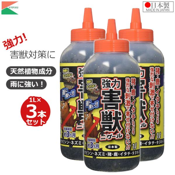 ssnet_kyofuku-4937582-500801-3set