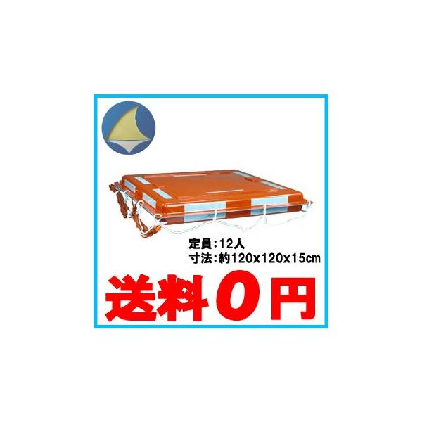 {D Dp~ NS-FRP12 12l ~ ~ Dpi