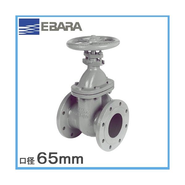 �`���|���v �W���X���[�X�� NSV(10) 65A JIS10K(��) �t�����W�`���i �G�o�� �X���[�X�o���u �z�Ǖ��� �p��