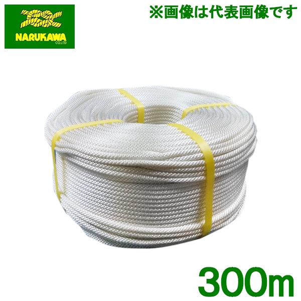 RCX^[^[[v iC[v  2mm×300m Ŋ@ @ uCh[v 