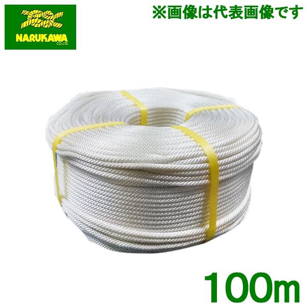 RCX^[^[[v iC[v  2.5mm×100m Ŋ@ @ uCh[v 